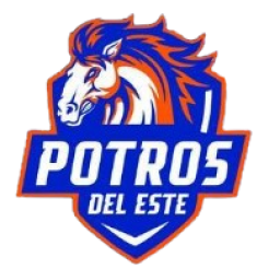 巴拿馬阿連扎后備隊(duì)